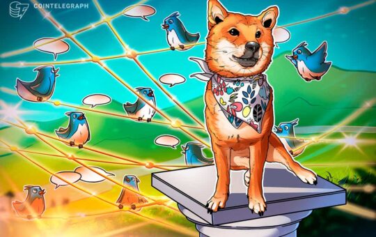 Meme tokens and dogcoins flood the market as price wars heat up