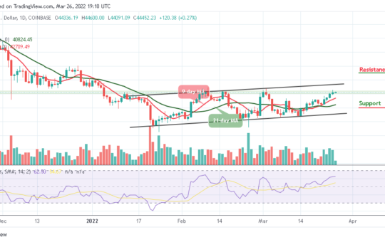 Bitcoin Price Prediction