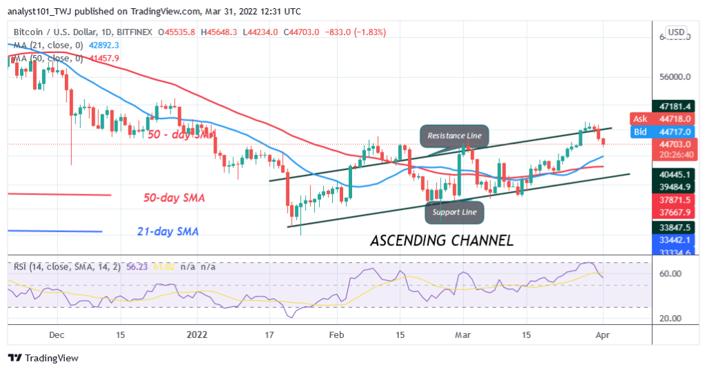 Bitcoin (BTC) Price Prediction: BTC/USD Fluctuates Between $45K and $48K as Bitcoin Holds Above $45K