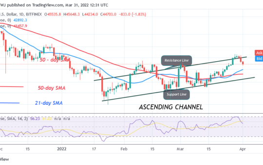 Bitcoin (BTC) Price Prediction: BTC/USD Fluctuates Between $45K and $48K as Bitcoin Holds Above $45K