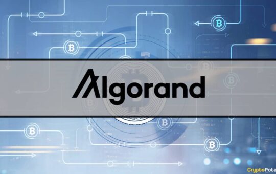 Flare Network Receives Grant to Connect Bitcoin With Algorand