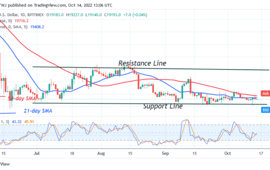 Bitcoin Price Prediction for Today October 14: BTC Price Declines As Sellers Challenge The $19k Support