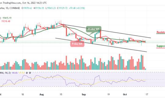 Bitcoin Price Prediction for Today, October 16: BTC/USD Stabilizes Above the $19,000 Level