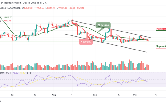 Bitcoin Price Prediction for Today, October 11: BTC/USD Dips below $19k