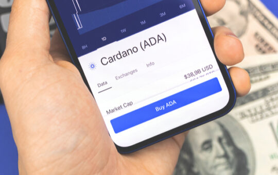 Cardano (ADA/USD) is undervalued according to insights data