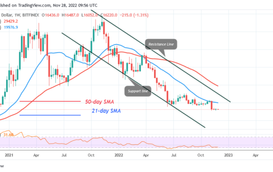 Bitcoin Price Prediction for Today, November 28: BTC Price Consolidates in a Range as It May Rebound or Collapse