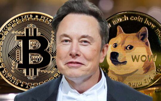 Elon Musk: Bitcoin Will Make It, Dogecoin to the Moon