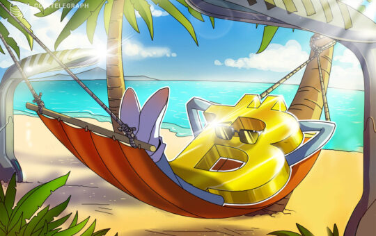 How to build a Bitcoin Beach: Advice from the pros