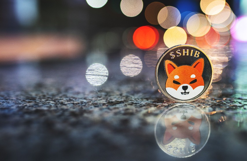 Shiba Inu SHIB prediction as price retraces 50%