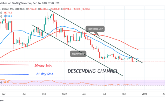 Bitcoin Price Prediction for Today, December 6: BTC Price Slumps below the $17.2K Barrier