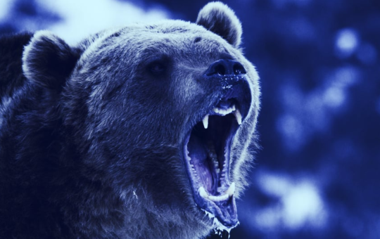 Crypto Tax Firm Koinly Lays Off 14% of Staff Amid Bear Market