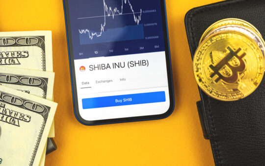 Shiba Inu leads the charge as the broader cryptocurrency market slowly recovers