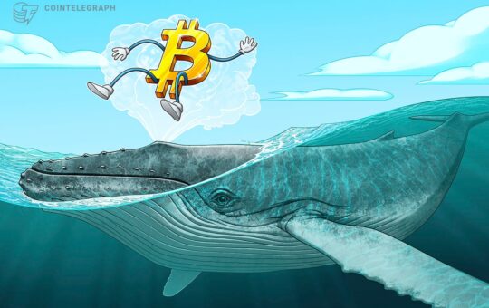 BTC price forms new support at $16.8K as Bitcoin lures ‘mega whales’