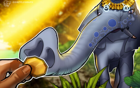 The world must take a