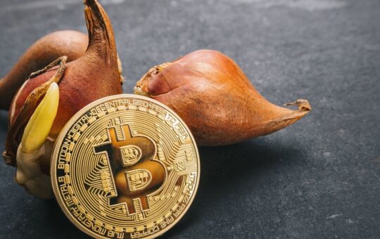 Bitcoin Developers Say Craig Wright May Be Admitting That He Stole 80,000 Bitcoin from Mt. Gox