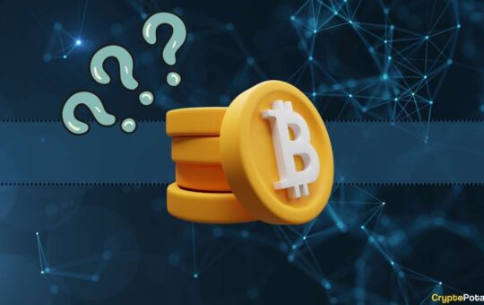 Bitcoin (BTC) Taps a New ATH But It's Not What You Think