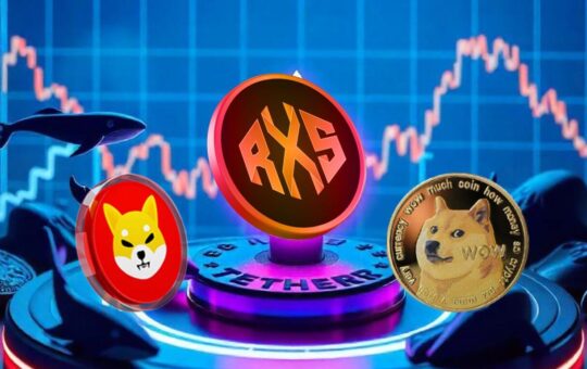 Dogecoin and Shiba Inu look like bad investments - analysts believe these 2 tokens could be a better bet