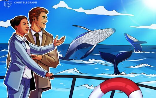 Hyperliquid opened doors to ‘democratized’ crypto whale hunting: Analyst