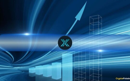 Immutable X and zkEVM NFT Sales Surge 55% in Q4 2024, But Market Participation Declines
