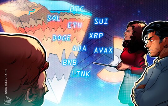 BTC, ETH, XRP, BNB, SOL, DOGE, ADA, SUI, LINK, AVAX