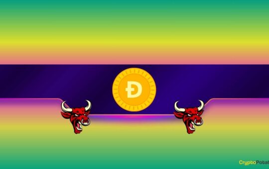 Dogecoin (DOGE) to Match its ATH? Here's What Could Spark the Surge