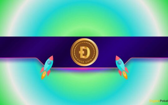 DOGE Season Not Started Yet