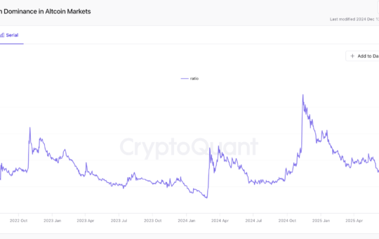 Dropping Meme Coin Dominance in The Altcoin Market