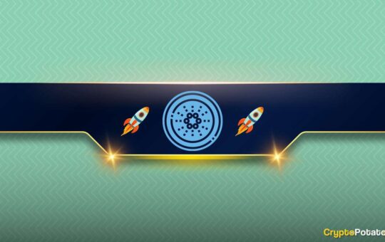 ADA and DOGE Must Defend These Critical Levels to Resume Bull Rallies: Analyst