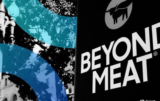 Meet the Roaring Kitty of Beyond Meat: 'I Would Feel Guilty Selling'