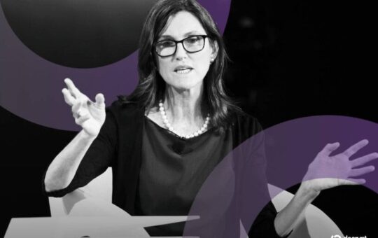 Cathie Wood's Ark Invest Dumps Coinbase Shares Amid Bitcoin Crash