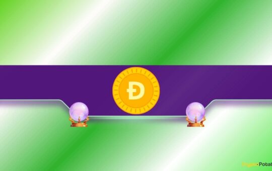 The Indicator That Called DOGE’s Collapse Just Flashed a Rare Buy Signal: Analyst
